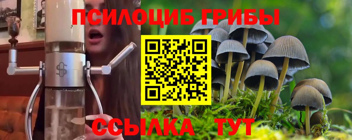 Галлюциногенные грибы мицелий Чебаркуль